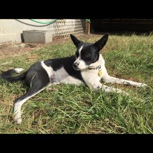 Meet your Posher, Becky